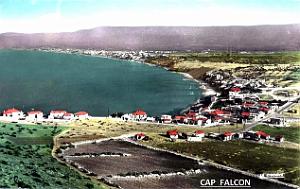 Cap Falcon